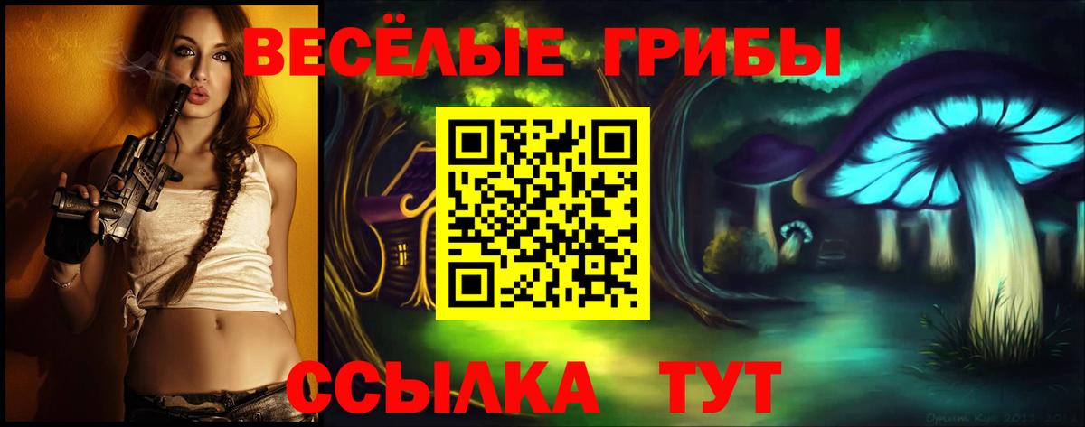 где купить   Вход с VPN  Нарткала  Галлюциногенные грибы ЛСД 